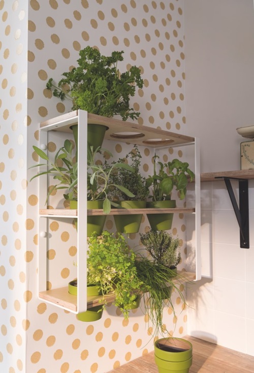 Bien choisir ses plantes d'intérieur - IKEA