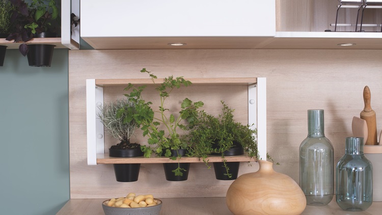 Décorer sa cuisine avec des plantes : Nos conseils décoration pour cultiver  des plantes d'intérieur aromatiques - Blog Cuisinella