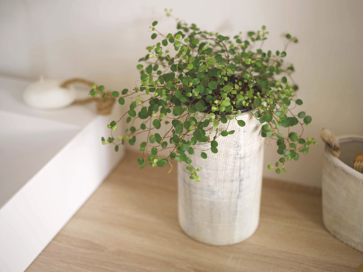 déco nouvelle nature