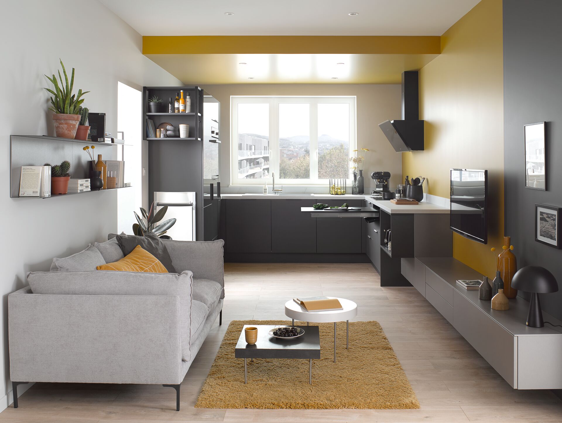 Salon avec canapé gris