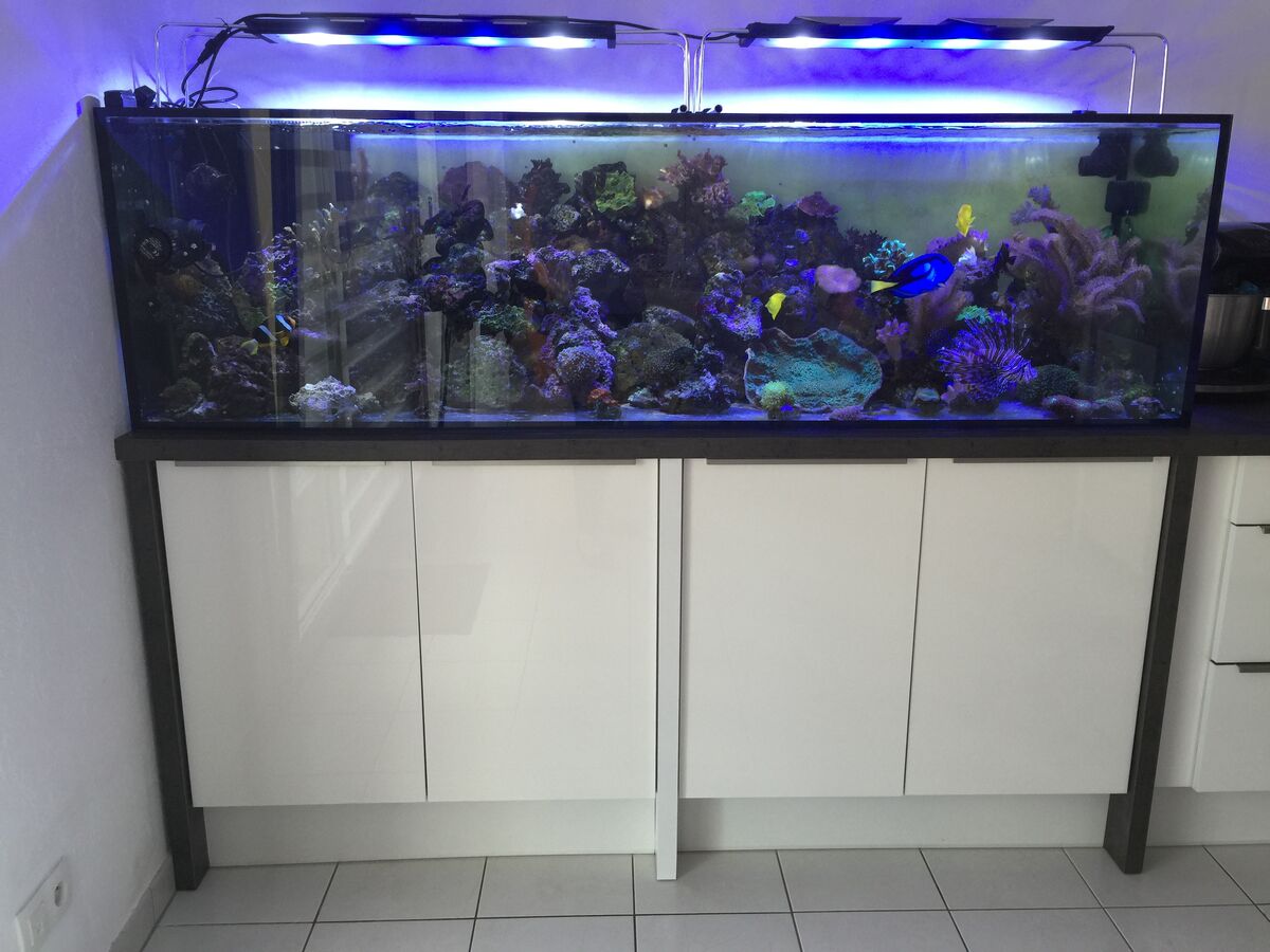 Cuisine avant-après sur mesure Light Blanc brillant