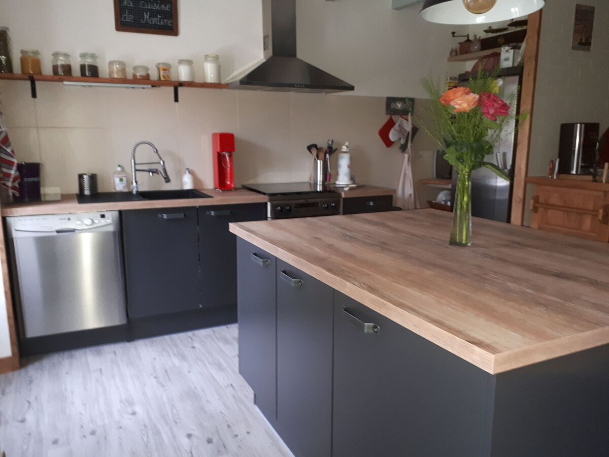 Rénovation cuisine équipée sur mesure Vega prem's Ombre