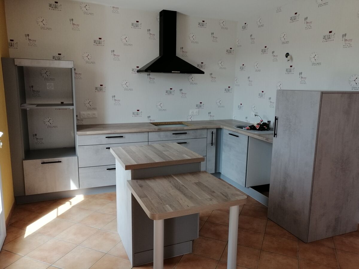 Rénovation cuisine équipée sur mesure Véga Béton Clair