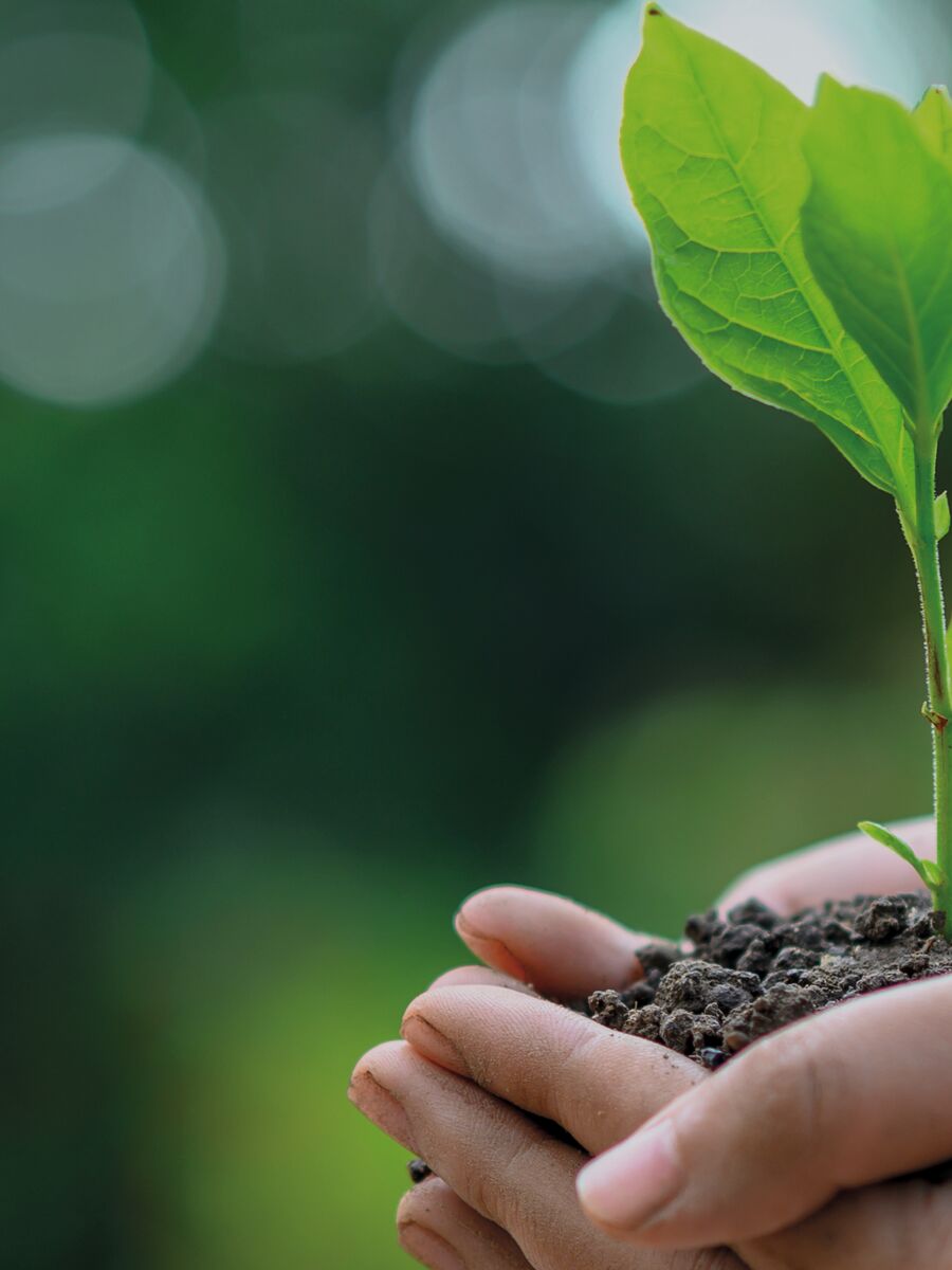 Des produits exclusifs