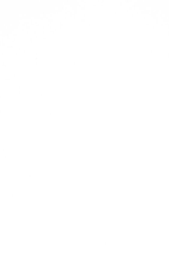 Façade unie brillante Blanc brillant