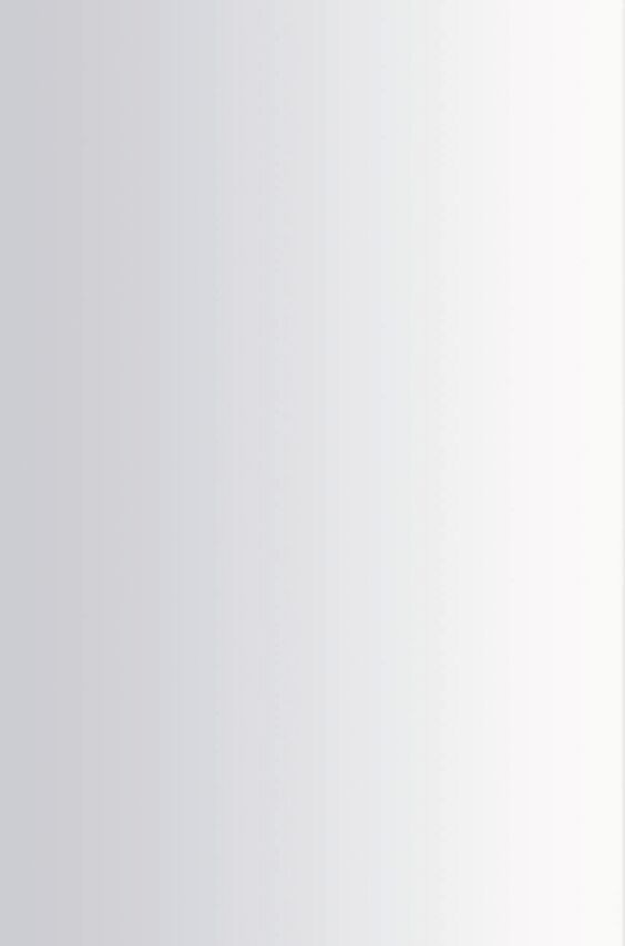 Façade miroir et verre - Miroir argent