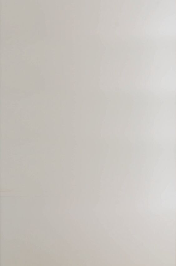 Façade miroir et verre - Miroir dépoli