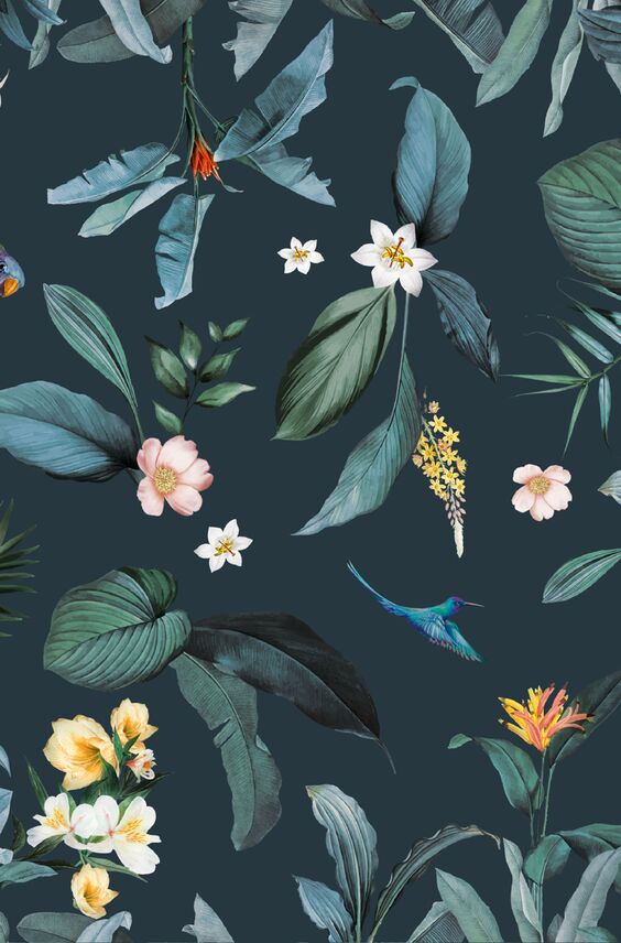 Panneau de crédence Pimp - Équateur