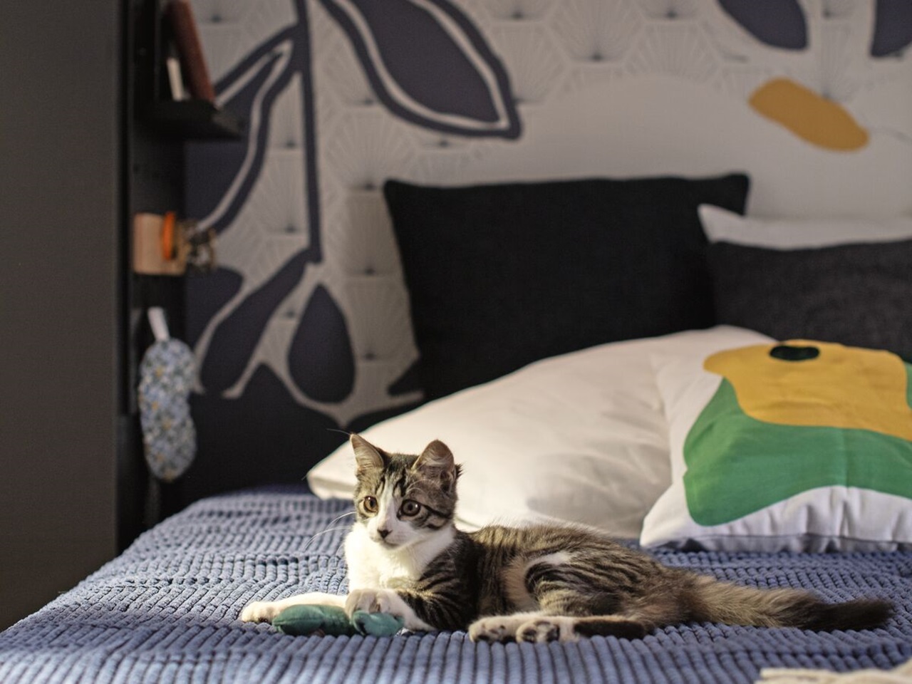 Tête de lit avec dressing intégré : l'amie des petits espaces - Mobibam